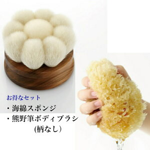 FMECȃZbg {fBuViԌ^ ȂE˔j19,800~ VRCȃX|WMTCY3,880~̂ȃZbgi{fBPAD̂їʂՂ2020N`IH|iW