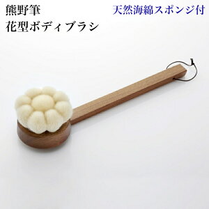 FM {fBuViԌ^ tE˔j WS KOYUDO{fBPAD̂їʂՂ2020N`IH|iWIoX^CVRCȃX|WtSSTCY8~9cmi1,720~