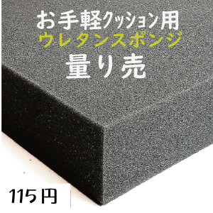 RĐyNbVpE^X|W UEI-3ʂ蔄 NbV ɏՍ ֎q\  \芷 ւzc }bgXW⏕X|W FO[1`5cmőc100200cmo