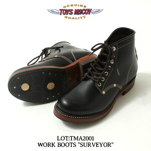 N[|zz!ubNtCf[ gCY}bRC [Nu[c SURVEYOR AJW Y v ubN 8-9 1/2 TMA2001 2024H~ו