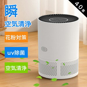 yVX[p[SALE zC@ C40 ԕ  ^ y ߓd Oi ȒP É ybg C@ ԕ΍ObY ECX΍  ^oR {C ECX