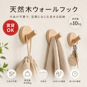�E�H�[���t�b�N �Ǌ|���t�b�N �k���i�`�������� 10�Z�b�g �ω׏d��10kg �������s�v ����OK �V�R�� �ؘX�I�C���d�グ �J�r�������ɂ��� �����|�� ���� ���ʏ� �L�b�`�� �x�����_ �ڒ��ܕt��