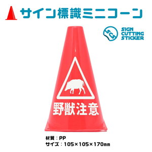  CmVV  댯 ~jR[ ov  쐶  ̂ OpR[ pC ӕW Ă킢TC V[t Oό ڗyz R X R H яo