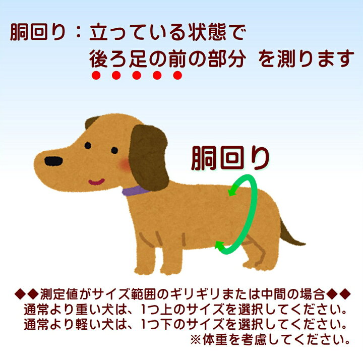 楽天市場 マナーパッド 犬 オス マナーベルト マーキング 去勢 交配 散歩 通気性 避妊 オシッコ対策 マナー ズレ防止 ドッグカフェ 室内 おでかけ ドライブ 旅行 通院 ネコポス送料無料 S M L Xl 正規品 Alfie アルフィー アメリカ エイテックス公式オンラインストア
