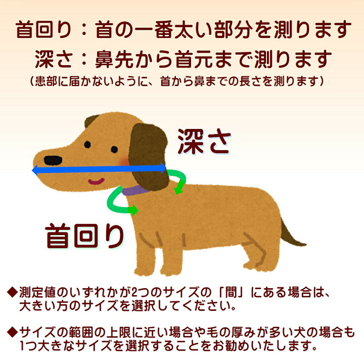 楽天市場 ソフトエリザベスカラー エリザベスカラー L 犬 猫 ペット 軽量 柔らかい 簡単装着 やわらか 引っかき 傷舐め 足舐め 防止 傷口 保護 手術 怪我 ケガ 病気 術後 S M L Xl 正規品 Alfie アルフィー アメリカ エイテックス公式オンラインストア
