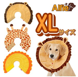 \tgGUxXJ[ GUxXJ[ XL  L ybg y _炩 ȒP 炩  r r h~  ی p  PK aC p XS S M L XL yKizAlfie 