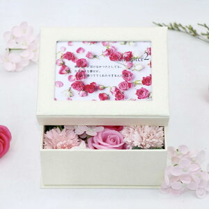 Vv[t[ \[  {bNX a LO v[g j ̓ t[{bNX AWg ʐ^