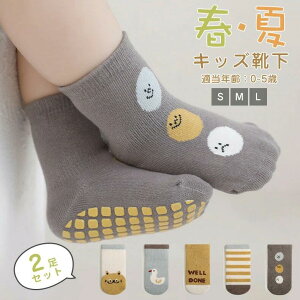  C q V C xr[\bNX  C Ԃ c ~ j̎q 2Zbg xr[ ~ xr[ \bNX