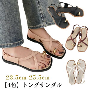 TT_ OT_  傫TCY XNGAgD _炩 ~ gOT_ [q[ V[Y ؂