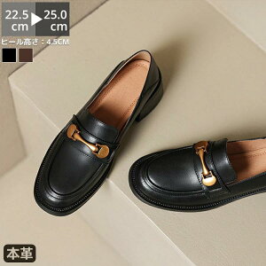 R L fB[X {v q[ Vv   EhgD 4.5cmq[ ~ R[f [t@[ C ɂȂ y H t