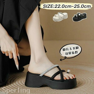 y L T ₷  y fB[X T{ b ~[ T_ T{T_ Ȃ  킢