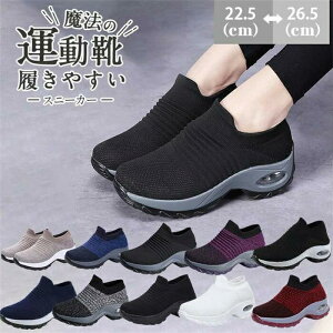  fB[X }bg Cq[ Xb| ₷ bNX 2 W  X|[c y L Xj[J[ Ȃ C