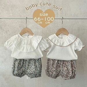 Y{   ̎q o X[c ㉺Zbg uEX Zp[g Ԃ Vc ZbgAbv  q oq ǂ 