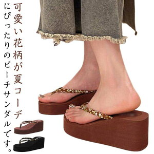 v[ t r[`T_ C EFbW\[ ~ T_ ₷ o fB[X X^CAbv  r[T r IV  ɂȂ X|[cT_ y 