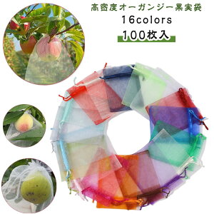 悯 В JX΍ ʋC ʎ 񂲑 LEC C`S h ƒ bV ʕ 100 ʕیobO lbg