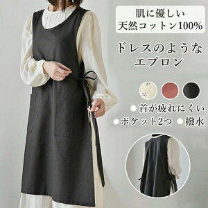 fB[X n ԕ ubN @\|Pbg ɂ jp ƃGv E \ Y  100