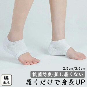 3.5cm V jp 2.5cm   ƃJo[ Y  VR C Abv K C\[ g