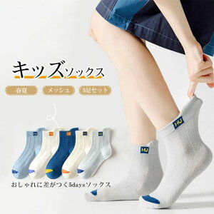 5Zbg ȑf j̎q  ʋC Xj[J[ t  z LbY q  \bNX bV Lk Snǂ