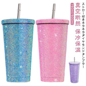  ۗ Xg[t XeX CX^f CXg[ }O 500ml  ۉ  ^u[ ^fM LL