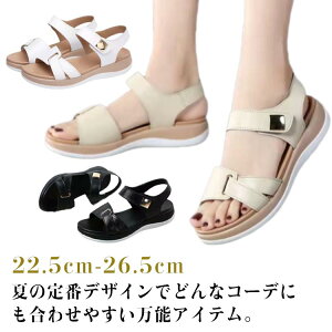 ₷ 킢 ItBX ~ [q[ T_ ɂȂ EFbW\[ ʋ t ꂢ p    s _炩 fB[X Ȃ  StB