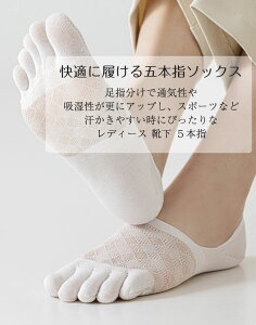 fB[X EȂ 3Zbg ėp ܖ{w ɔ\bNX Ԃ C Ȃ X|[cp ^5{w\bNX Xj[J[\b