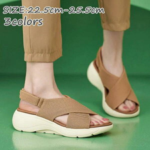 ST_ ₷  [q[ ؂ ST_ t fB[X fB[X 5cm StBbgT_
