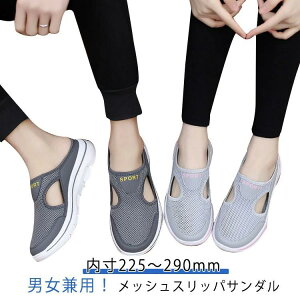 y  hV̓ T{T_ fB[X Oo Mtg ƂȂV[Y bV T_ ₷  Y y Xj[J[ T{ ̓