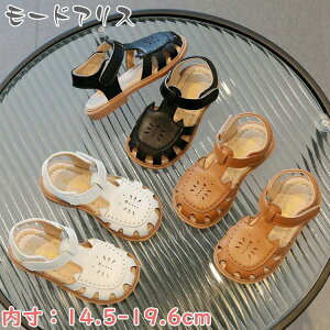 lC q  w T_ ₷ ǂ 킢 qC U[ ct ̎q w y^R  q