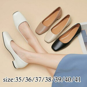 fB[X tH[} ubN pvX 2cm Ȃ d C rWlXV[Y 傫TCY [t@[   ʋ ʊw