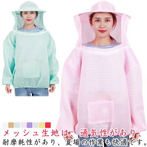 {Iی K[fjO bV EȒP 悯 {I ƕ 悯 㒅 jp  ʋC | {Ip Xqt 