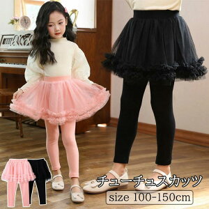 {gX WjA ``XJbc `[ XJbc q 킢 LbY K[Y ̎q XJ[gtMX ӂ