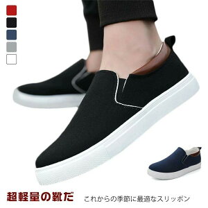 t ZC IV ~ Xj[J[ amC 3cm H RȂ n JWAV[Y Xb|