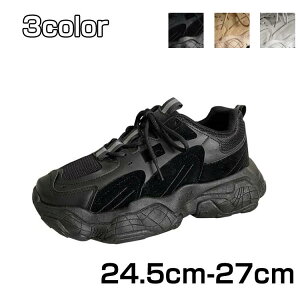 U 24.5cm~27cm   K Y 2021V YC  傫TCY EH[LO X|[c ɂȂ Ȃ