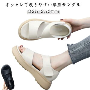 JWAV[Y X|[cT_ ʋC r ʋCK T_ gAbv ~  ₷ 芴 r b