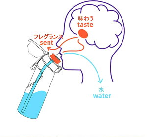 e GA{gAbv t[o[JvZ  X^[^[Zbg X|[chN{g EH[^[{g 0