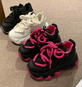 fB[X ^  C nCeNXj[J[ 킢 Xj[J[ n V[Y ؍  Sc 6cmq[  X|[c 