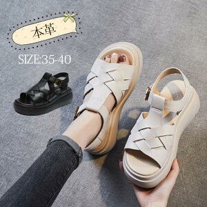 nCq[ T_  fB[X C V[Y ST_ T}[ _ {v fB[X T_  EFbW\[ C