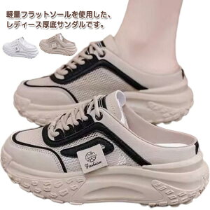  T_ {[T_ T_ bVV[Y RtH[gT ₷ fB[X T{ T{T_