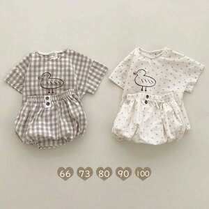 Ԃ ̎q ǂ 2_Zbg TVc{pc o  Zp[g ZbgAbv oq  ㉺Zbg j̎q q 