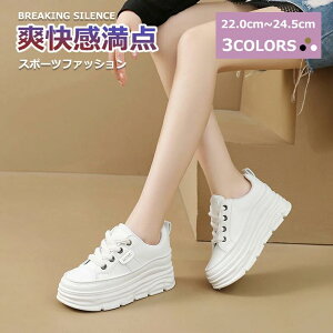 [XAbvV[Y Y V[Y JWA W ₷ X|[cV[Y fB[X jO WMOV[Y