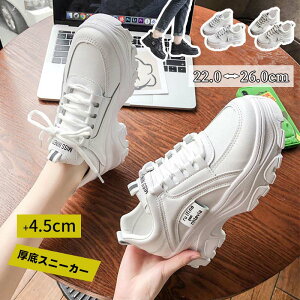 fB[X y C Xj[J[  Xj[J[ _bhXj[J[ ꂢ Cq[  אg ₷ 4.5Z` 