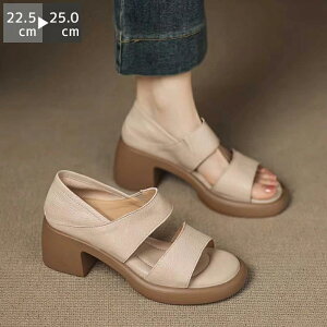 V[Y t C ăR[f pvX  pvX Xgbv 6Z`q[ r[`T_ EGbW\[ ƂȂ ~[