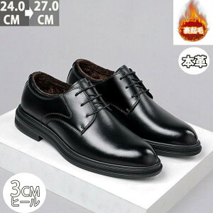 vC ʋ {v lGp AEghA Xg[g C 3cm [Nu[c amC Y rWlXV[Y  傫TCY ~