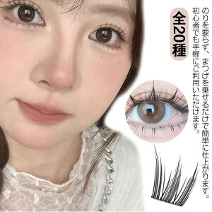 ̂t   ڒܕsv p ܂ ̂sv ܂ S20 {̂̂t ̂t܂ 2_Zbg i`