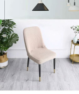  ֎qJo tBbg Xgb` `FAJo[ Lkf w_CjO`FAJo[ CXJo[ `FA[Jo[