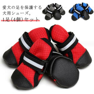 V[Y ^ ^ p ^ O  ~  C t pC bV EȂ hbOV[Y H ~