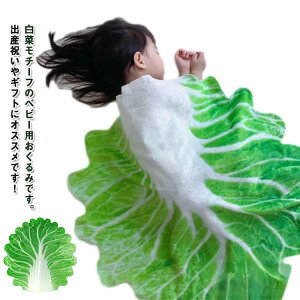 v[g 蕨 킢 LOʐ^ ʐ^Be    uPbg SNS ѕz xr[ H~ ѕz ،^ 100×100cm