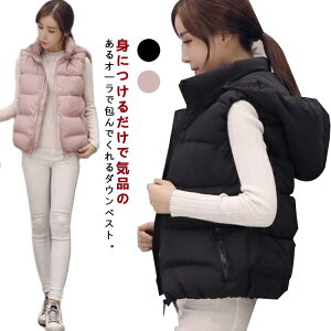 fB[X _ER[g HD CgAE^[ AE^[ WPbg _E TCh|Pbg t@Xi[ _EWPbg t[h