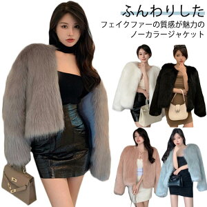 tFCNt@[R[g   g  AE^[t@[WPbg ~ Vv WPbg  ӂӂ {