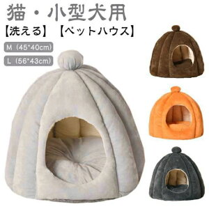 킢 ʔNg Lp ybgpi ΍ 薰 Lp NbVO\  LbgnEX ^ q